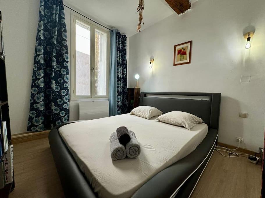 Appartement Le Refuge Du Coquelicot à Béziers Extérieur photo